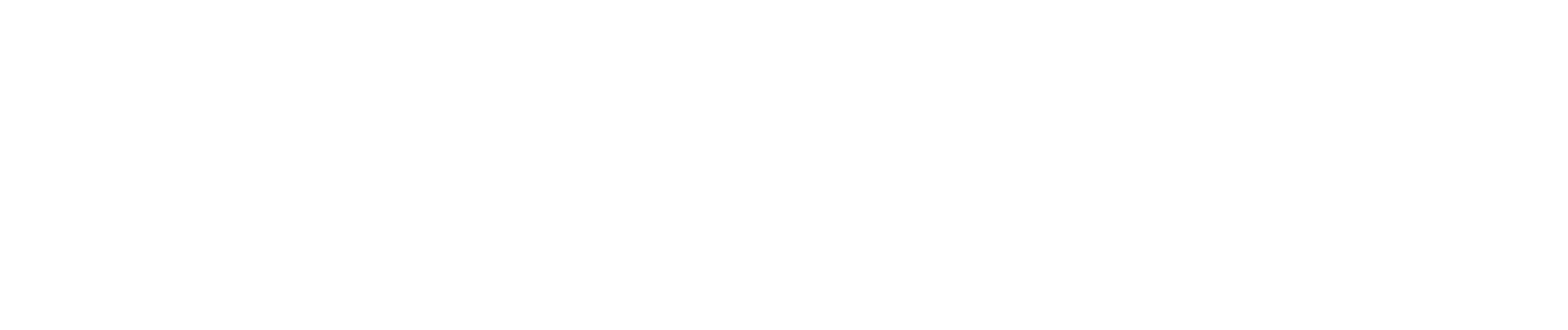 Ingram Micro